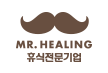 MR.HEALING